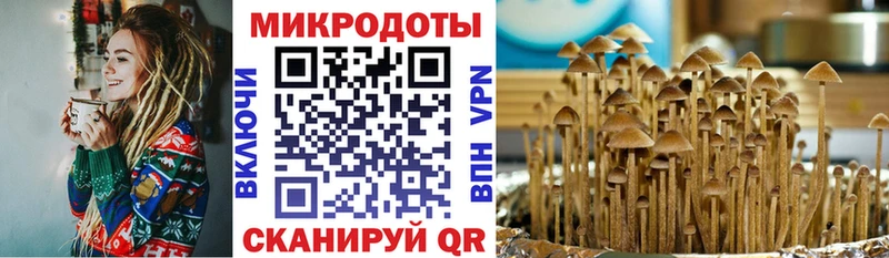 Галлюциногенные грибы мицелий  hydra как зайти  Славянск-на-Кубани 